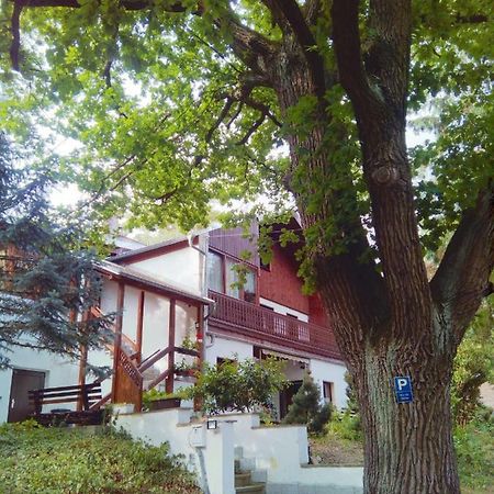Pension Fischer Plauen Exterior foto